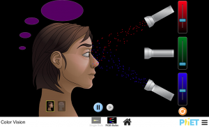 Color Vision Sim