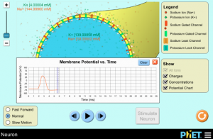 Neuron Sim