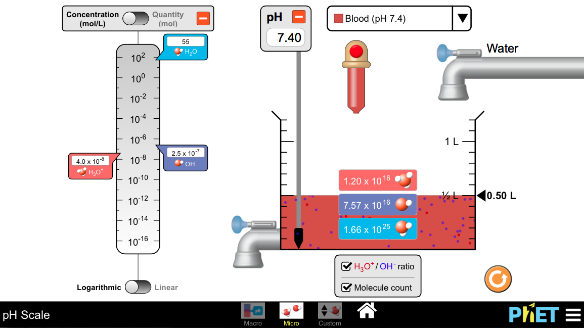 Screenshot of pH Scale