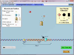 Gene Expressions - The Basics