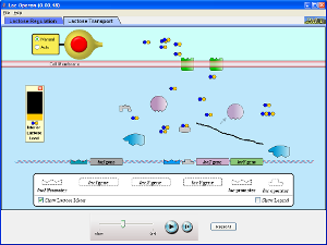 Gene Machine: The Lac Operon